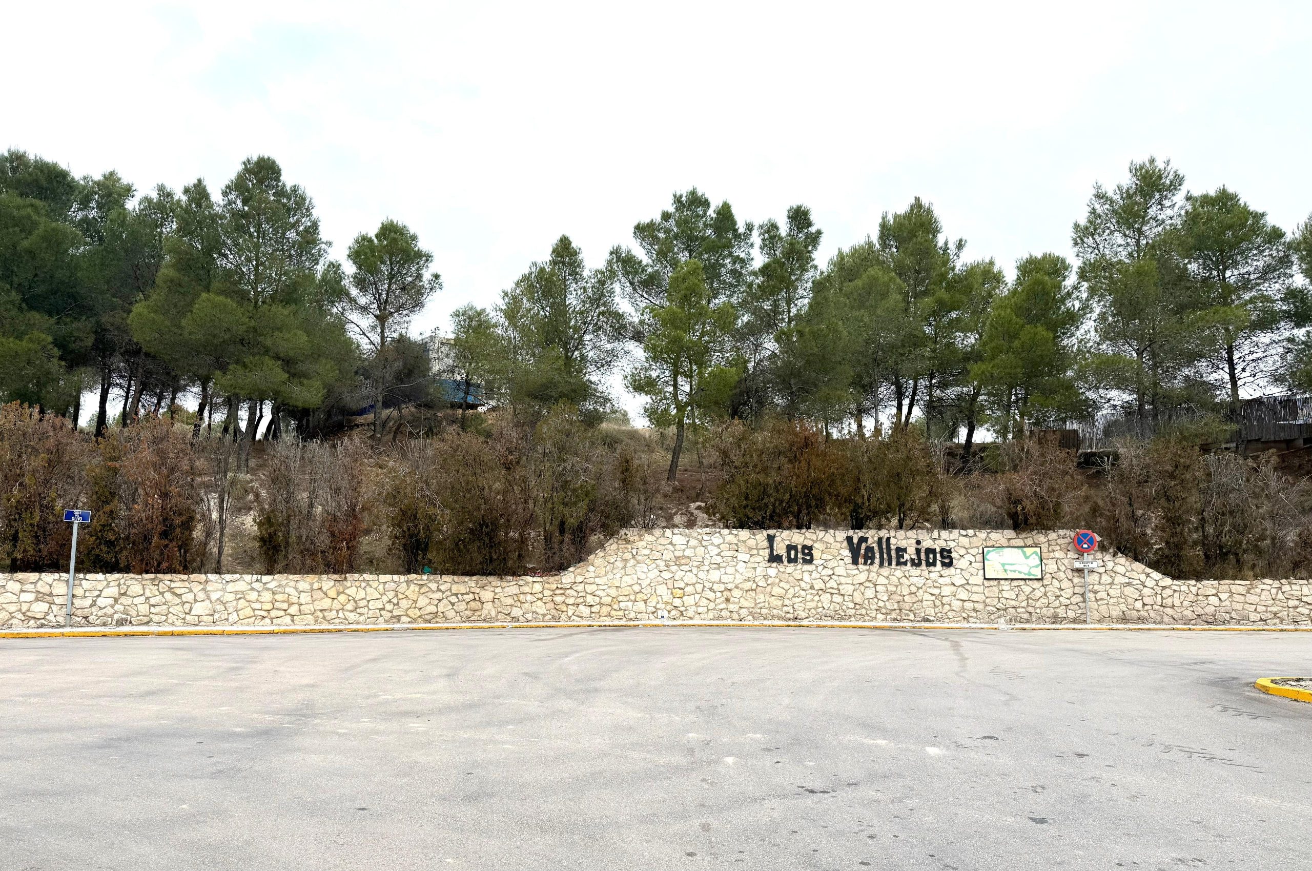 PARCELA EN VENTA EN COLMENAR DE OREJA